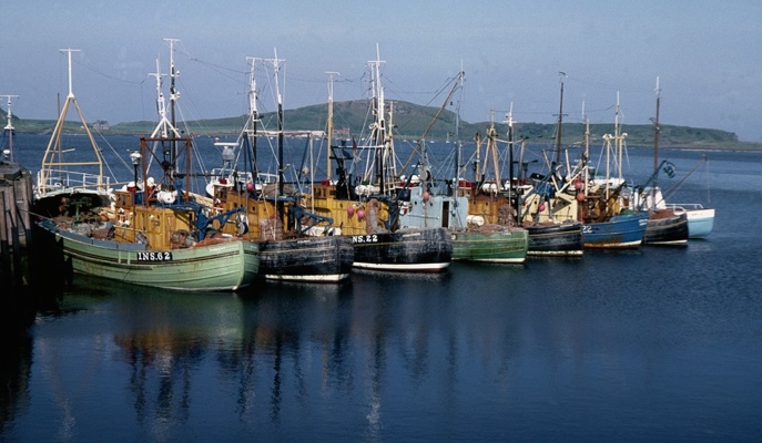 1975 In Oban harbour. Small boats compared to the massive boats of today.