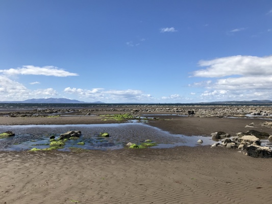 An image on the beach, with a pool of water surrounded by rocks and algae and crisp white clouds overlooking.