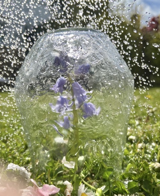 A flower stands protected by a glass dome from the harsh weather (rain) battering against it.
