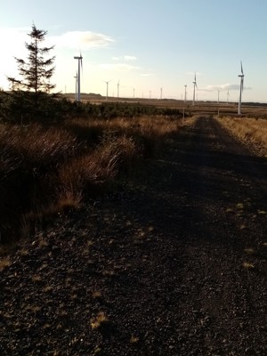 The picture is the road from stone to forest to environmentally friendly energy and a clear blue sky