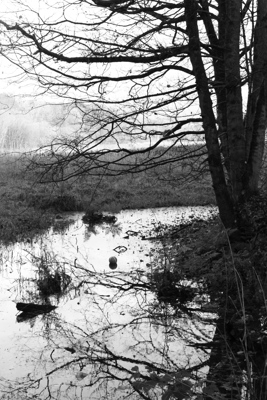 This Monochrome Photograph features am image of a basketball engulfed around the Scottish countryside where it doesn't belong.