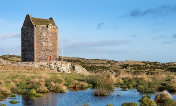 exterior view of a small tower house across a marsh