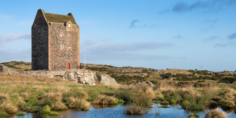 exterior view of a small tower house across a marsh