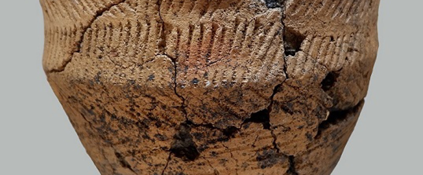 A photo of a Bronze Age food vessel