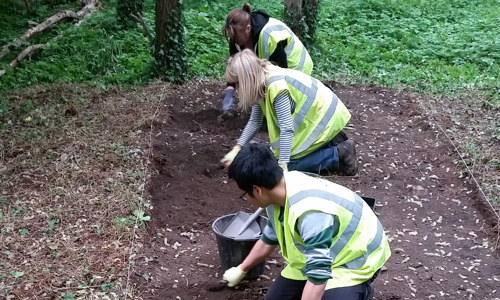 People wearing safety jackets kneeling on earth digging 
