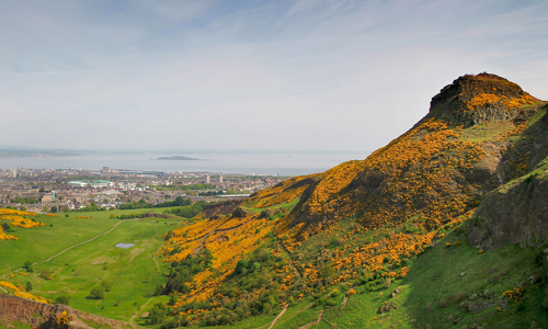 Holyrood Park seen from the south. Arthur's Seat is on the right and is covered in yellow flora. In the background we see Leith, including Easter Road stadium and the Firth of Forth on a sunny day.