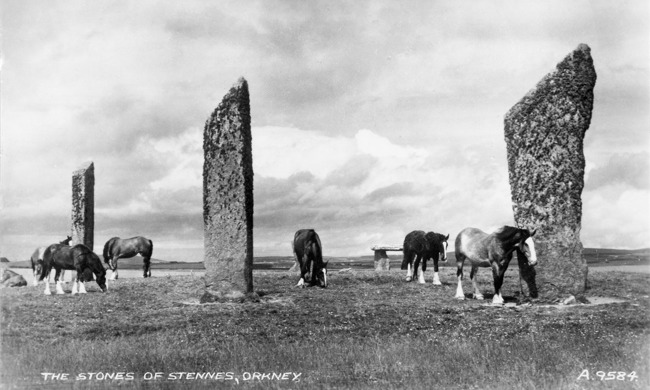 Horses eating grass in field of tall Neolithic standing stones