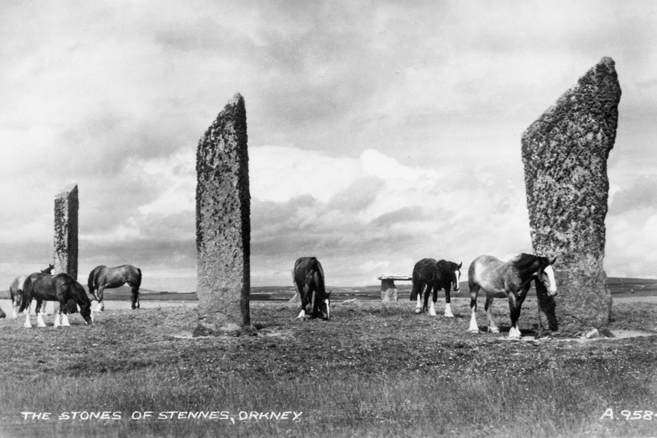 Horses eating grass in field of tall Neolithic standing stones