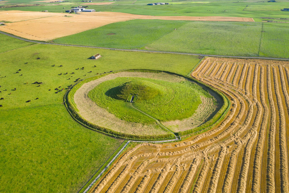 A large, grassy mound in a field, surrounded by an circular enclosure