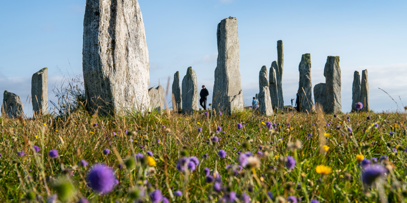 Tall standing stones with a people in dressed in black clothes in the background centre. In the foreground of image is grass, with various coloured wild flowers on a sunny day..