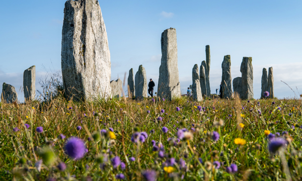 Tall standing stones with a people in dressed in black clothes in the background centre. In the foreground of image is grass, with various coloured wild flowers on a sunny day..