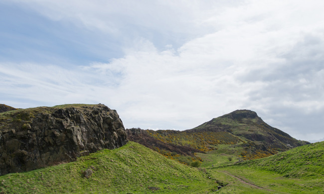 Grassy mounds in a park