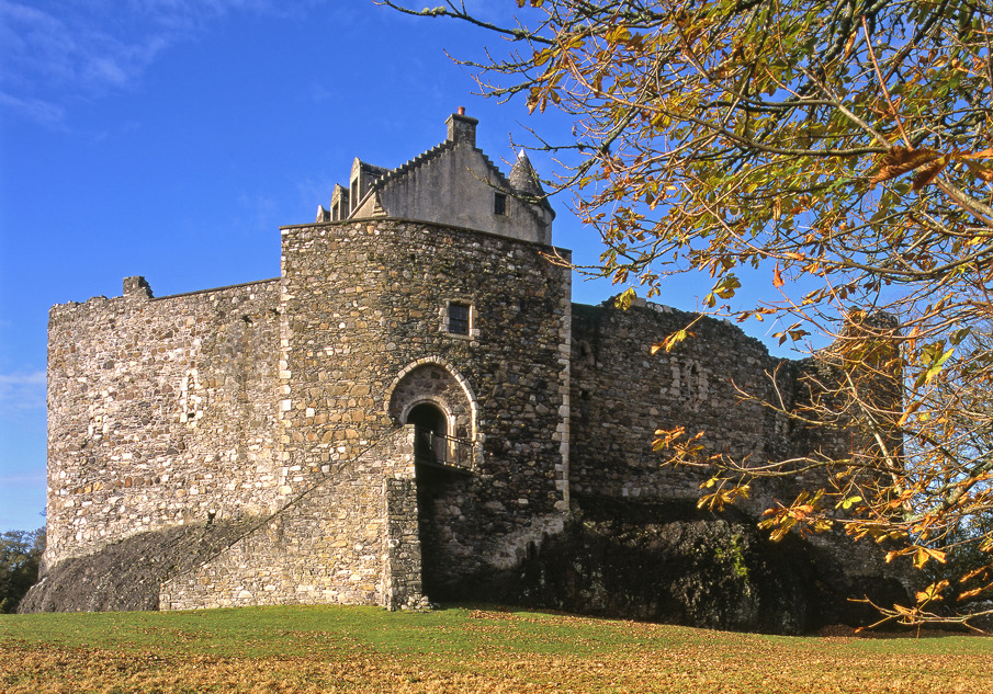 A strong castle under the blue sky with not a cloud to be seen. In the foreground a grass field is covered in brown leaves. Branches from a team still holding dead leaves appear out of the right side of the photo.