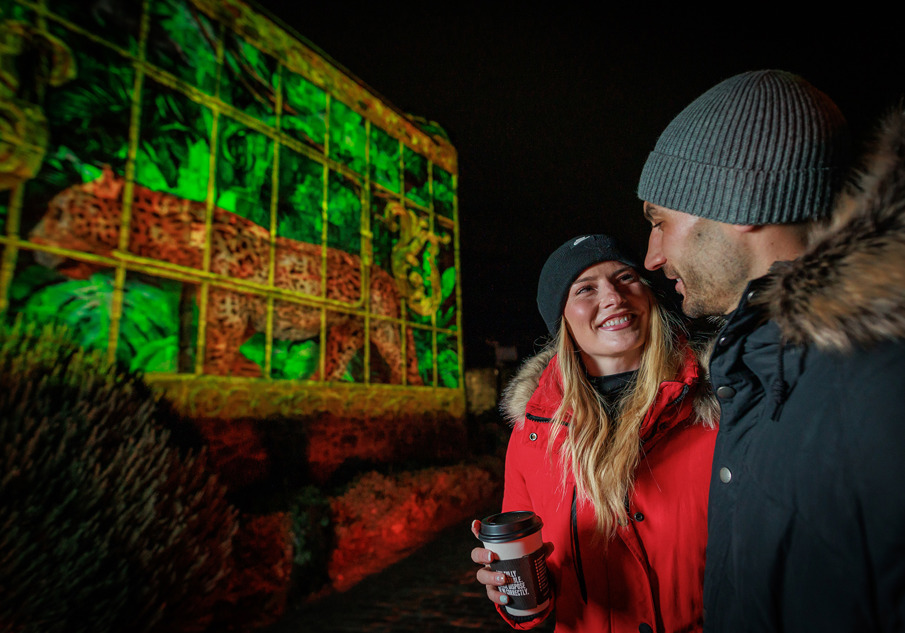 A man and woman stand together in woolly hats and winter jackets. The man is caught side on, while the smiling woman with blond hair faces towards the camera. In the background a light artwork is illuminated, it pictures a tiger against a green jungle.