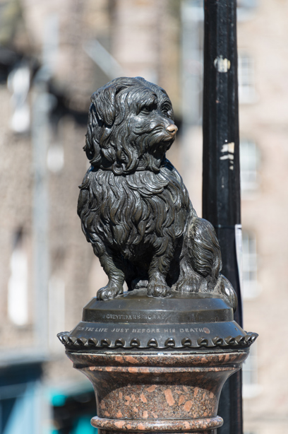 A small statue of a dog on top of a plinth on a city street