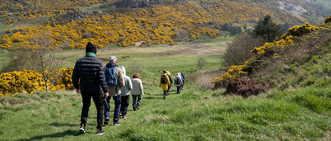 A number of people in a line taking a walk through a park