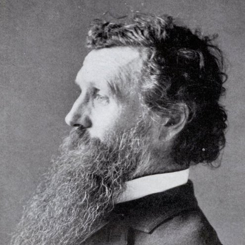 Black and white portrait photo of a person facing to the left. They have wild dark hair and a long wiry beard. They are wearing a suit and tie.
