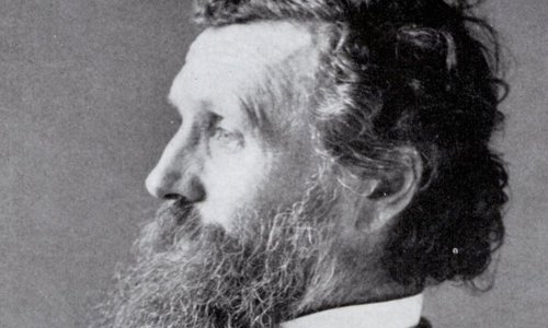 Black and white portrait photo of a person facing to the left. They have wild dark hair and a long wiry beard. They are wearing a suit and tie.
