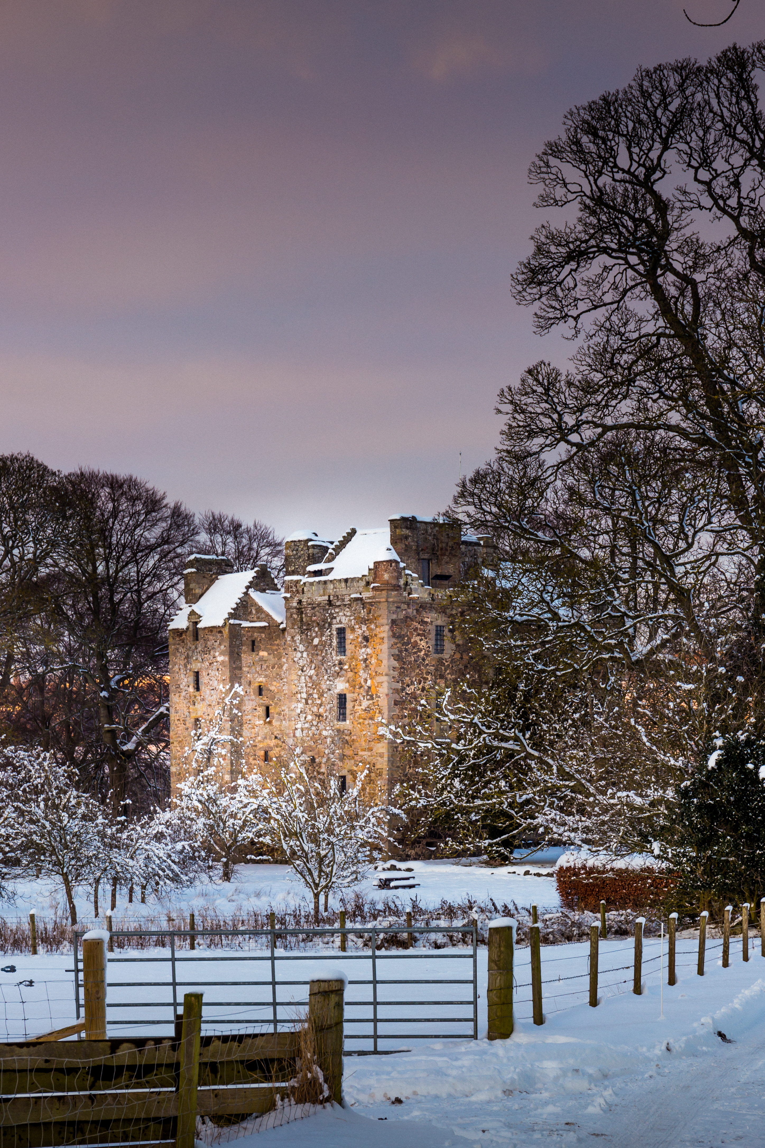 Elcho Castle in winter, its stone walls dusted with snow and surrounded by snow-covered trees. A wooden gate and fence lead toward the castle, with a soft pink-purple sky in the background.