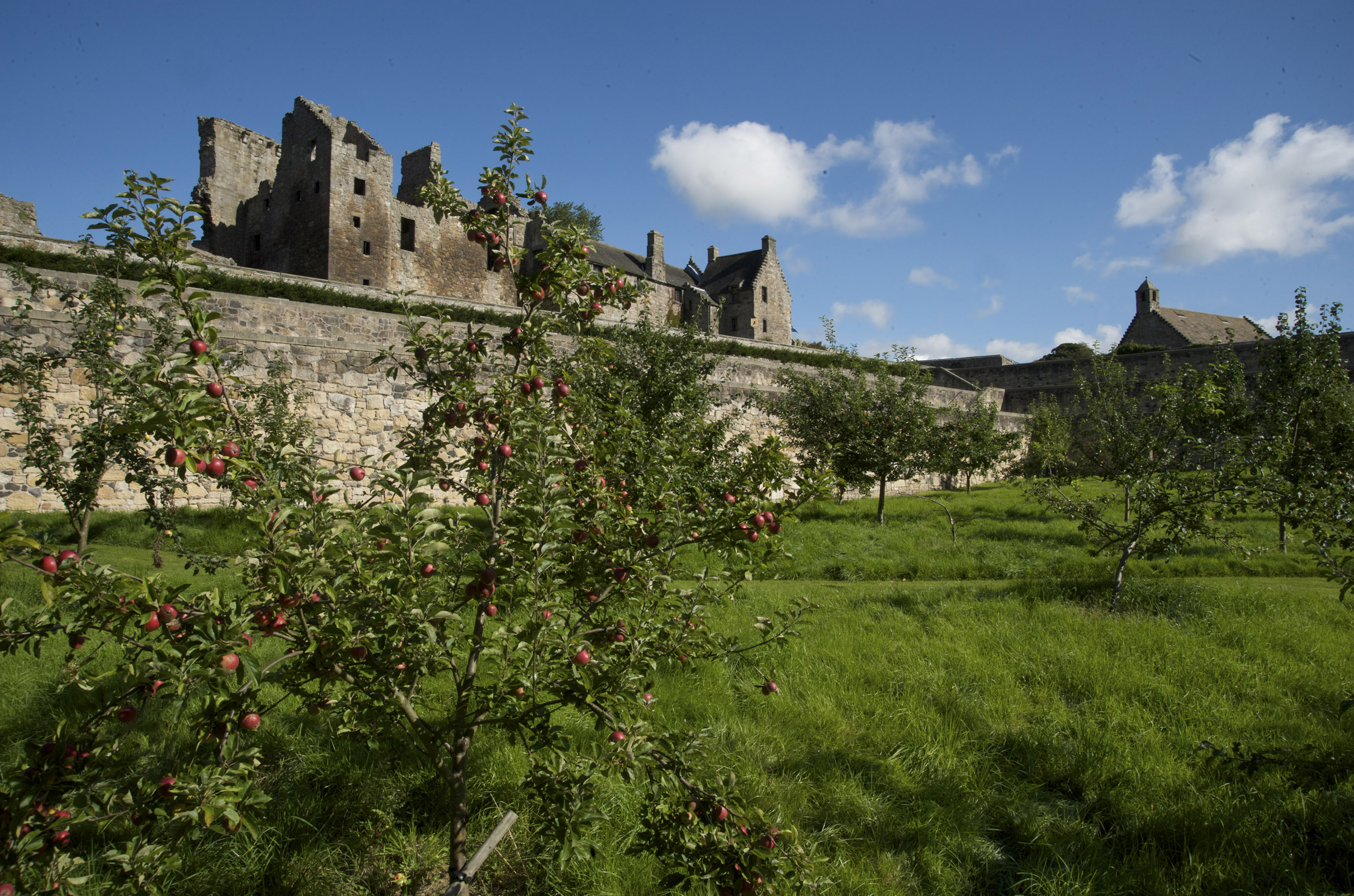 Exterior view of a castle with gardens and apple trees