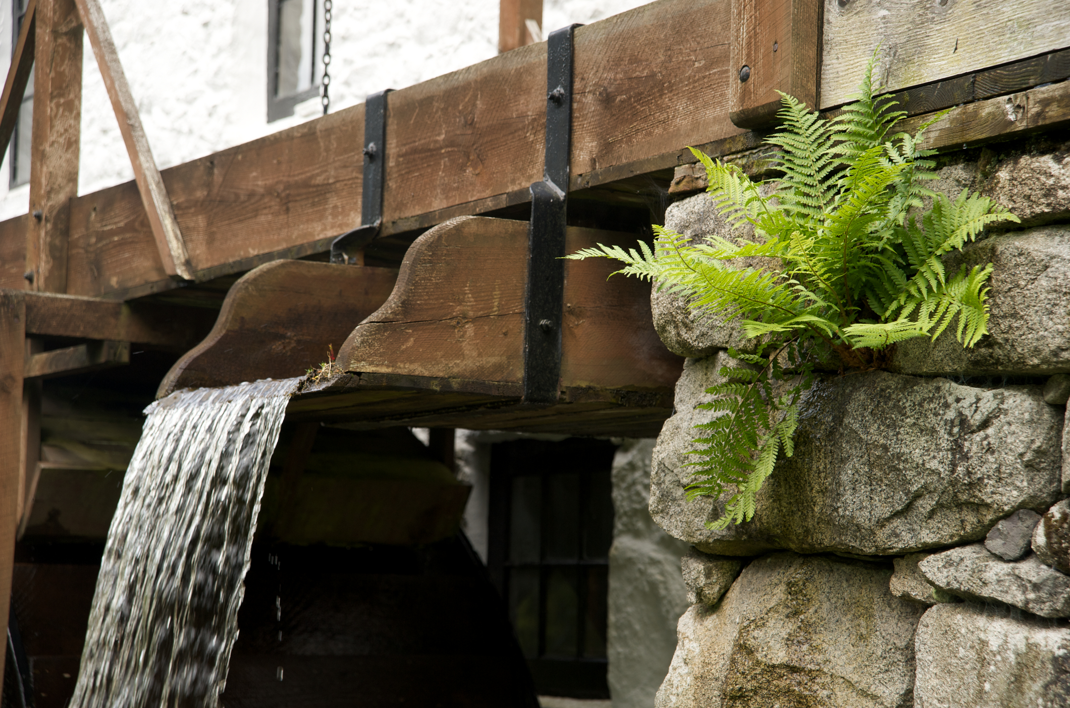 Flowing water pouring from a wooden chute beside a stone wall, with bright green ferns growing from the rocks.