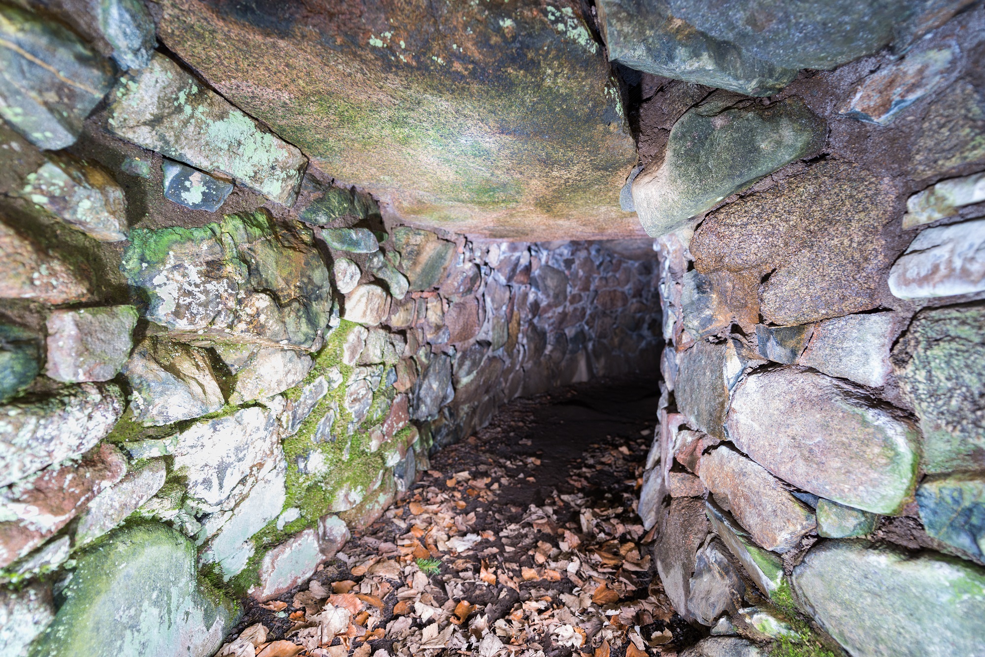 Autumn leaves which have blown into the entrance of Culsh Earth House, a stone-lined underground passageway. 
