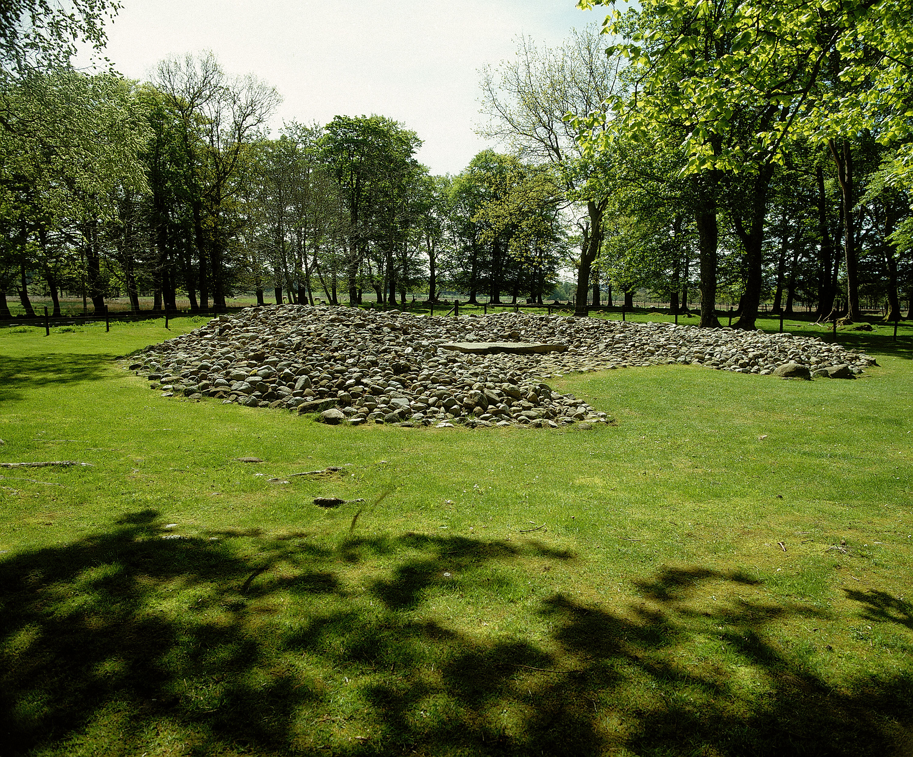 A low, circular cairn made up of hundreds of loosely piled stones sits in the middle of a grassy clearing. The cairn has an irregular outline and a slightly raised central area. Tall trees border the site on all sides, their leaves creating dappled shadows across the grass in the foreground. The scene is brightly lit with sunlight filtering through the canopy, giving the cairn a sheltered woodland setting.