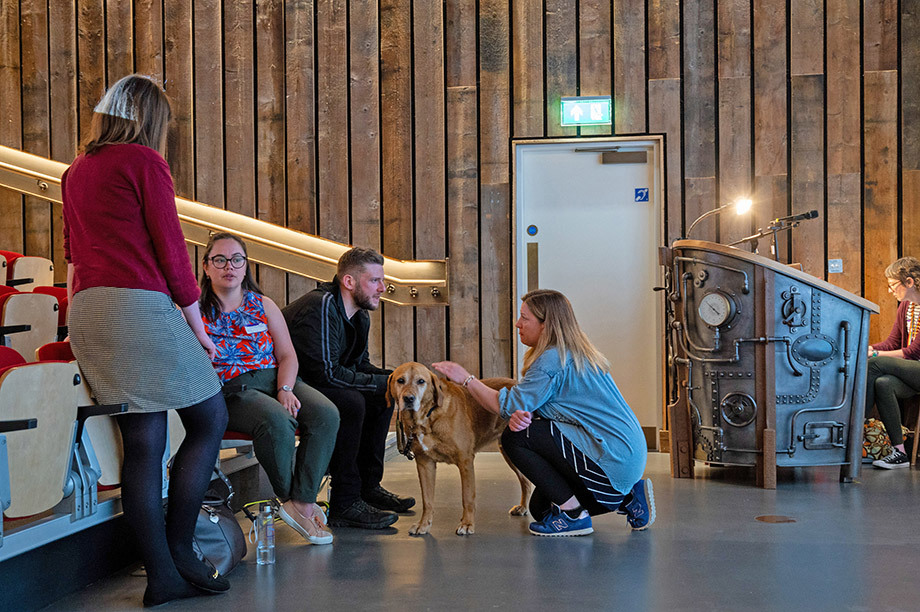 An older, dark blonde Labrador with white hair on its fair, gets a pat from a woman crouched next to it while talking to a young man sat on auditorium seats. Other other people are next to them also talking.