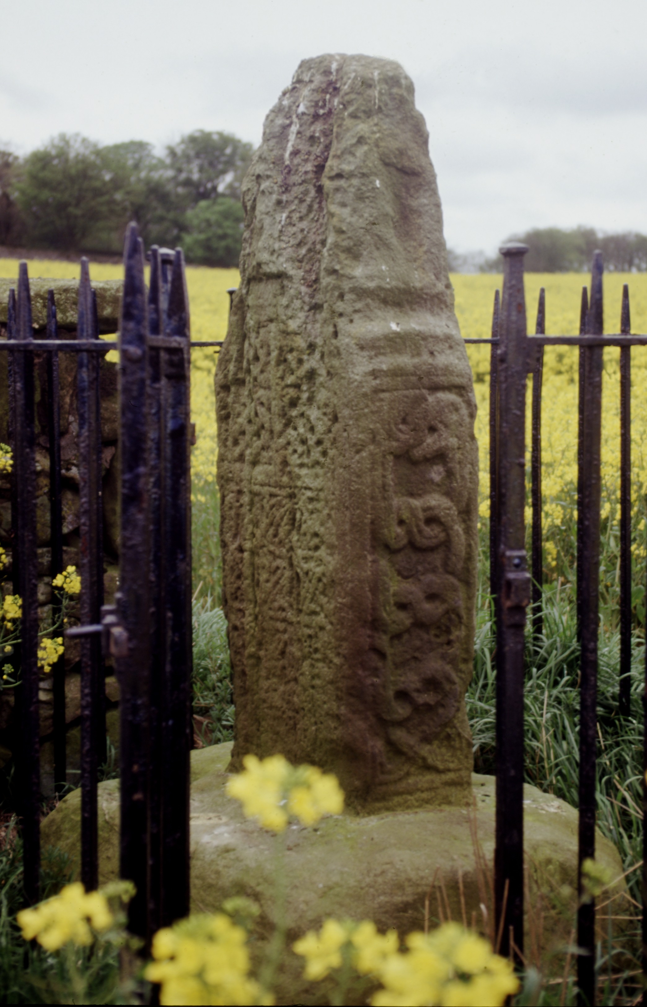 Portrait view of a carved stone inside railings surrounded by flowers.