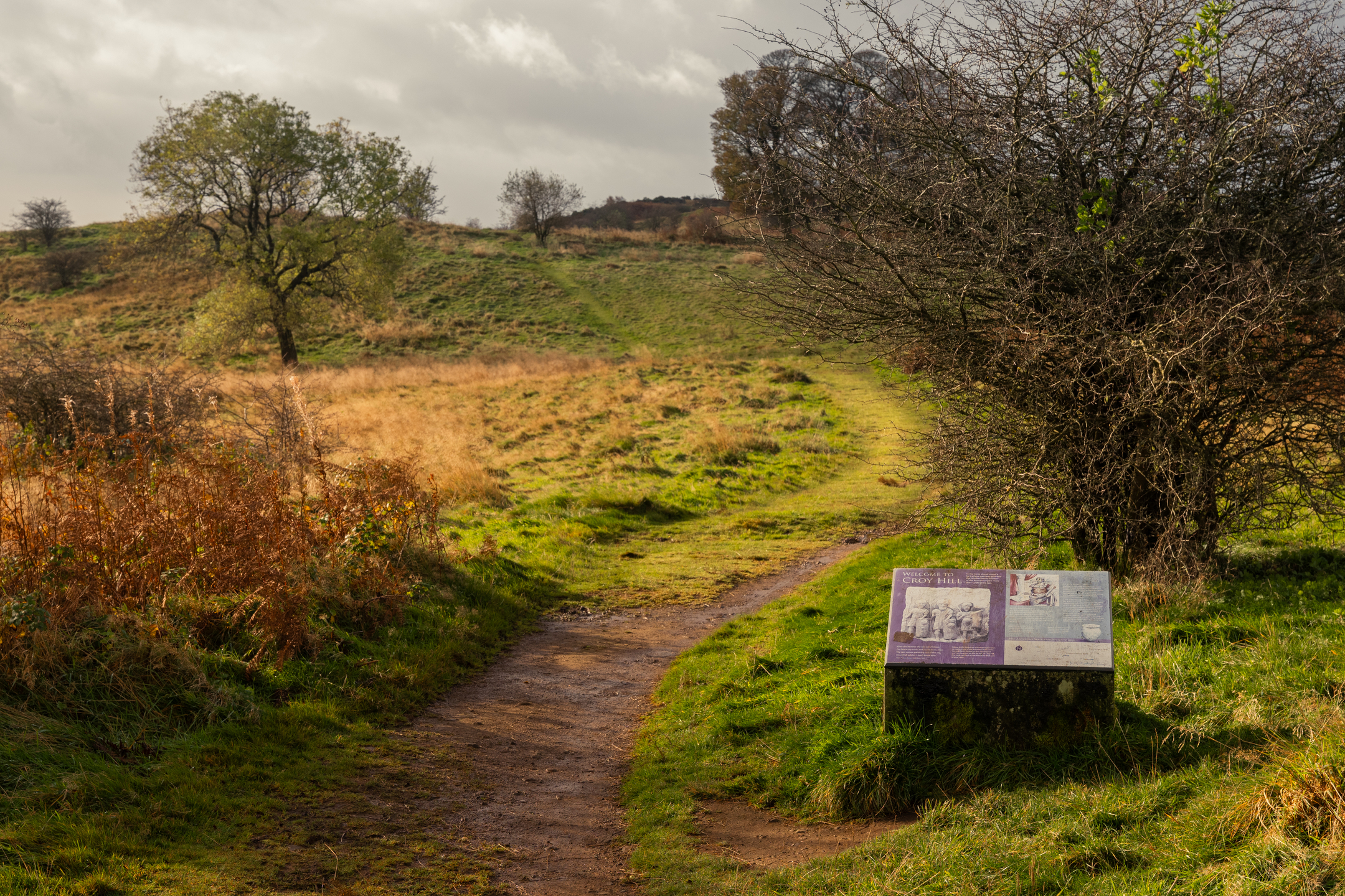 Autumnal countryside scene with grass, trees and an information panel in the foreground