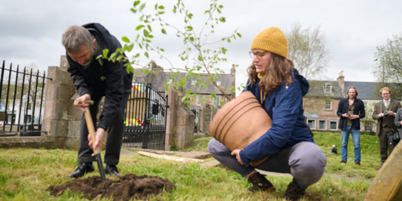 Two workers are helping plant a young Elm Tree