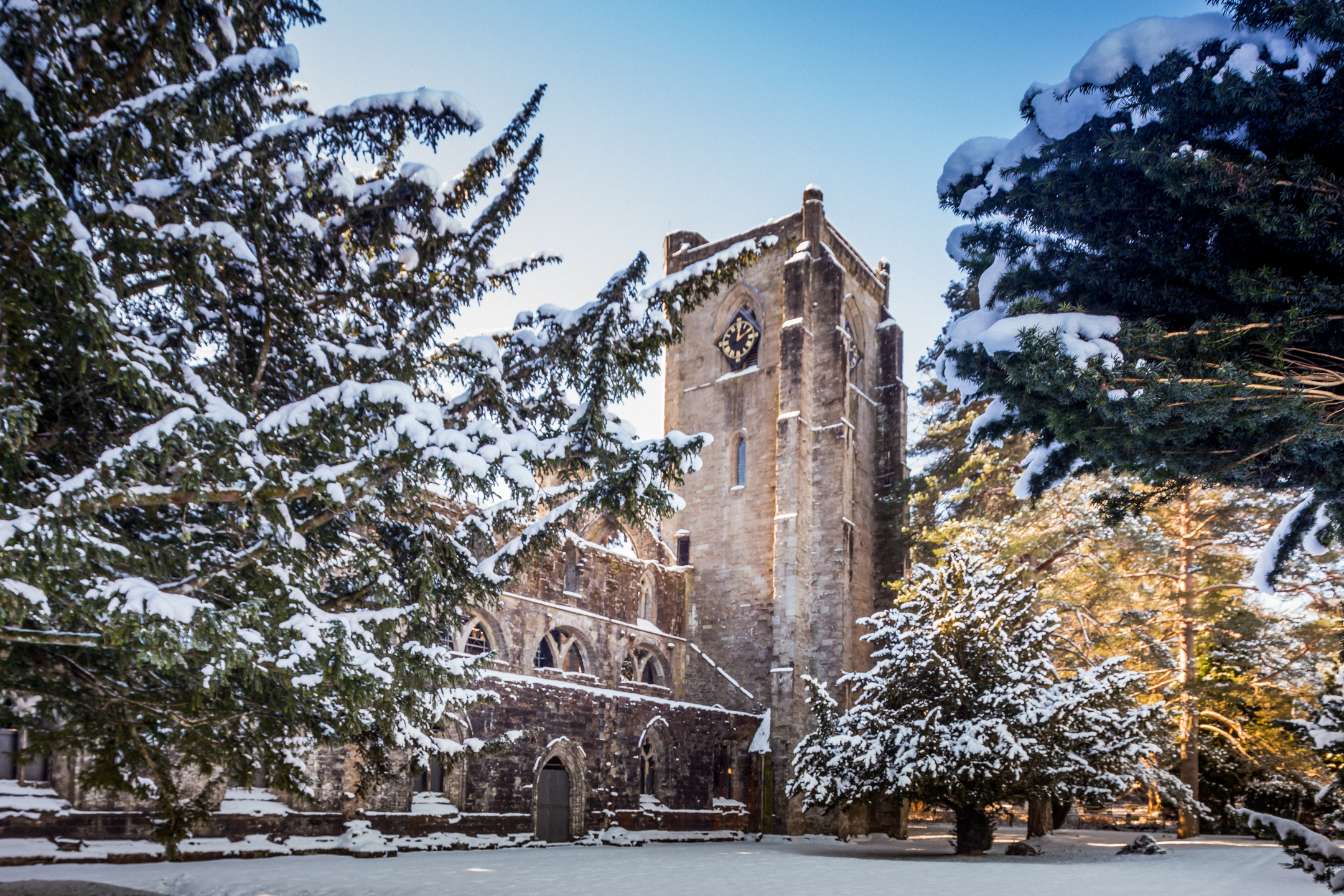A historic cathedral framed by thr branches snow covered trees.