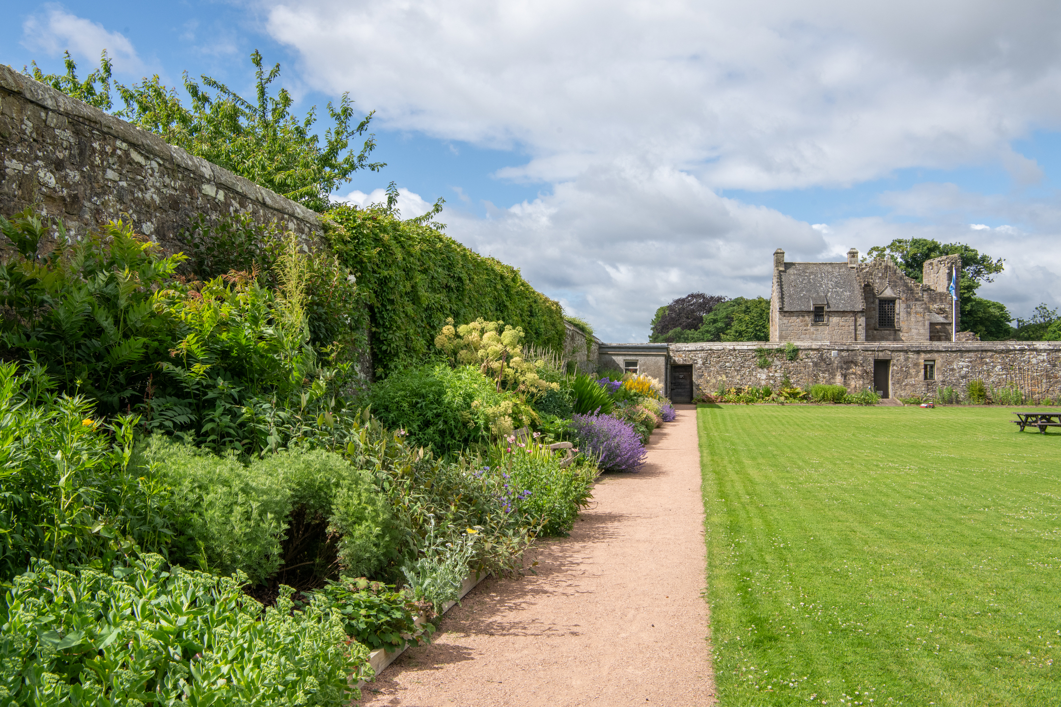 A large, long planting border beside a path and large grassy picnic area, in a historic walled garden