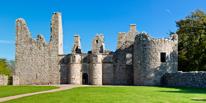 A ruined stone castle with two round towers at the front and a large round tower at the right-hand side with a gap for a window. On the left-hand side of the building, there is a gap at the top. There is a stone wall at either side of the castle, with a tree on the left-hand side. At the front of the castle, a red path leads to the gate with grass on either side of the path. The sun is shining, with bright blue skies.