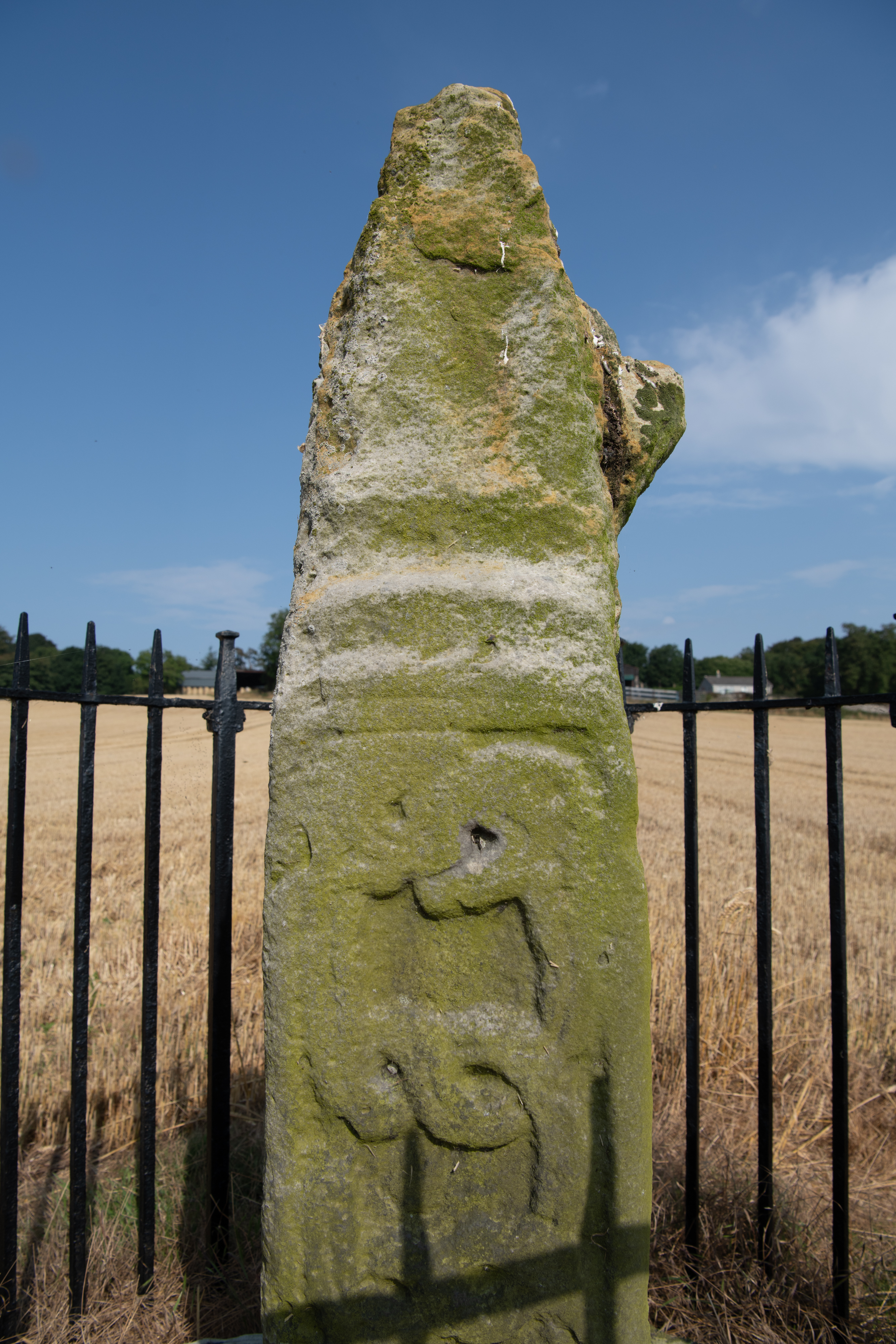 A weathered, moss‑covered stone slab standing upright within a metal rail enclosure, set against a harvested field. A faint carved figure is visible on the stone’s surface, beneath patches of erosion and lichen.
