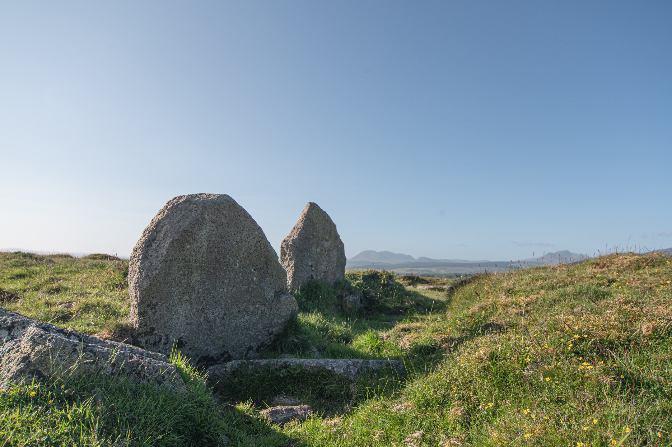 Two large weathered stones standing upright on grassy terrain, surrounded by smaller rocks and tufts of grass. The background shows rolling hills and distant mountains under a clear blue sky.