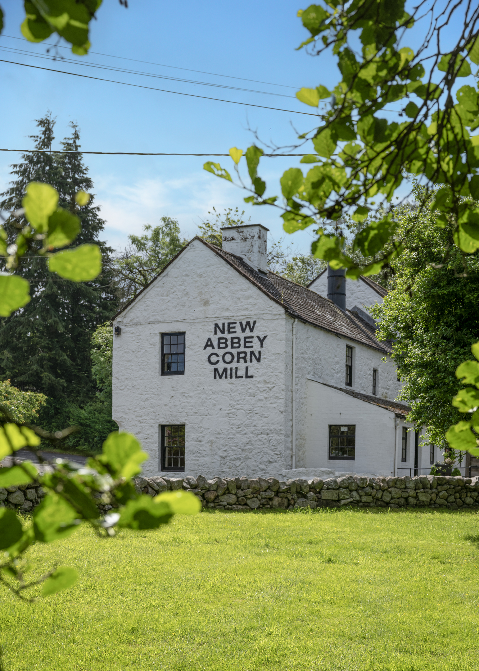New Abbey Corn Mill building seen through green tree branches, with a bright blue sky overhead.
