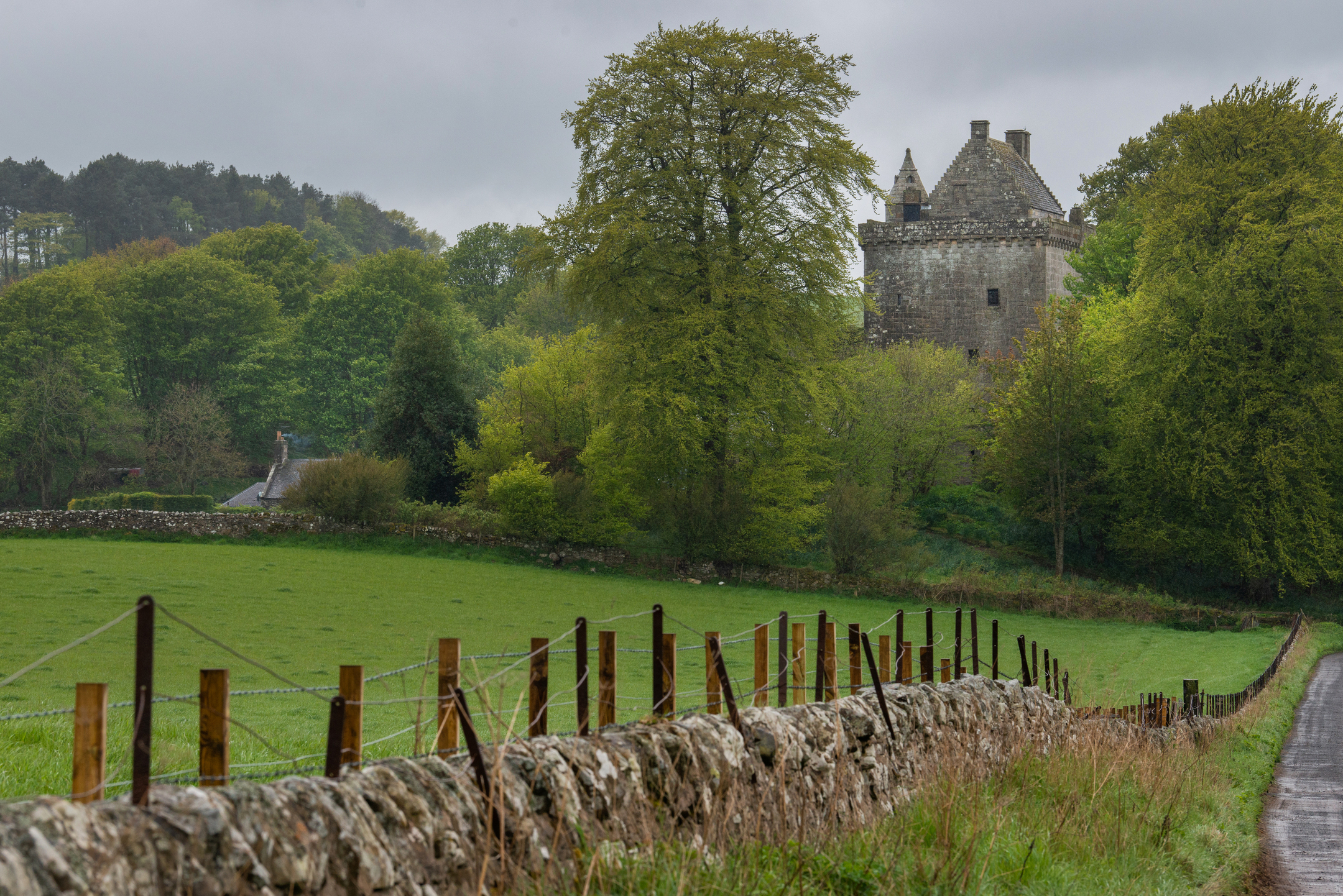 Green trees and a grassy field in front of a tower house. A track flanked by a stone wall leads to the tower.