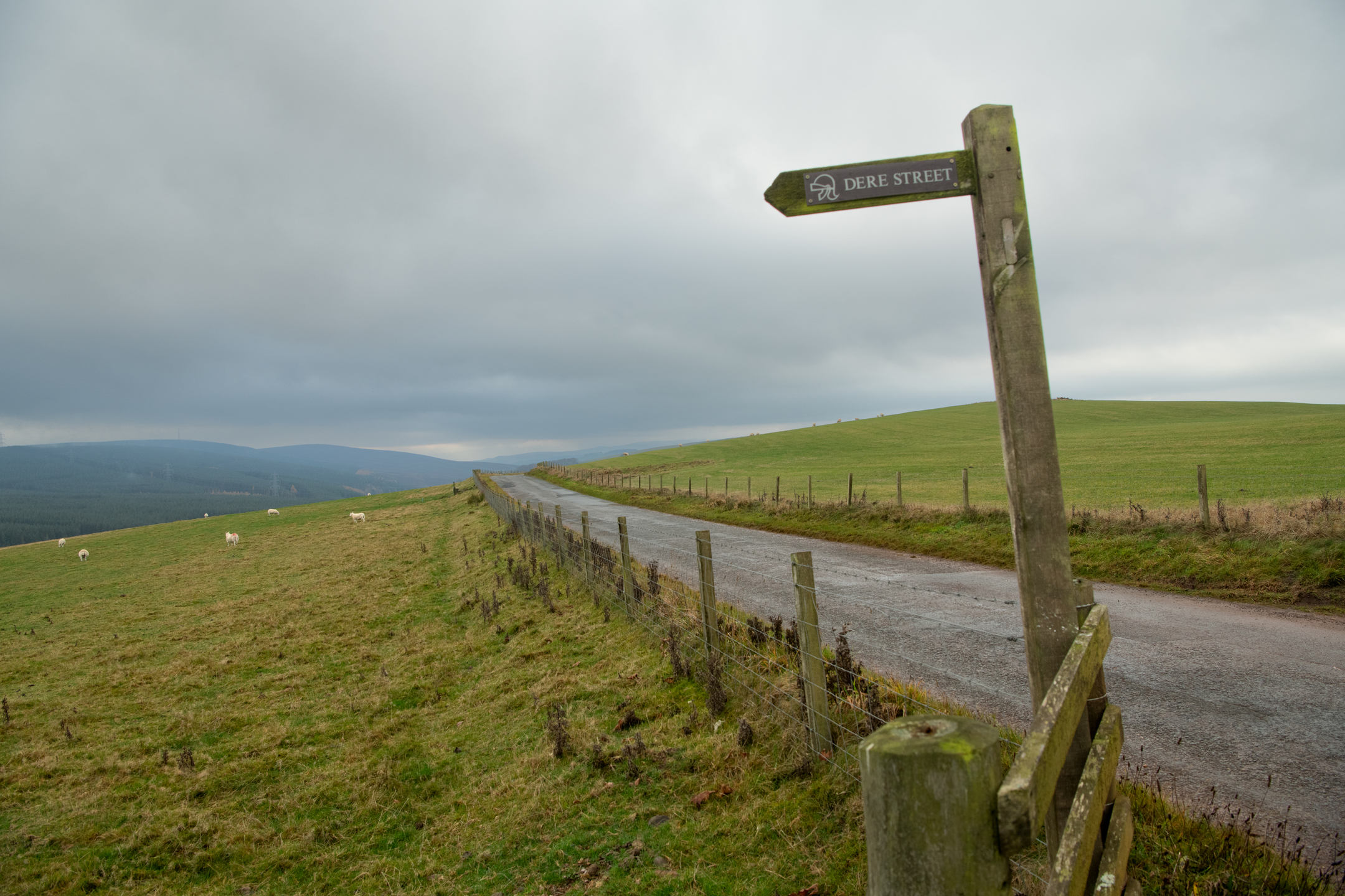 Wooden signpost marked 'Dere Street' standing beside a narrow rural road bordered by wire fencing. The road runs through open grassy hills under a cloudy sky, with distant ridges visible in the background.