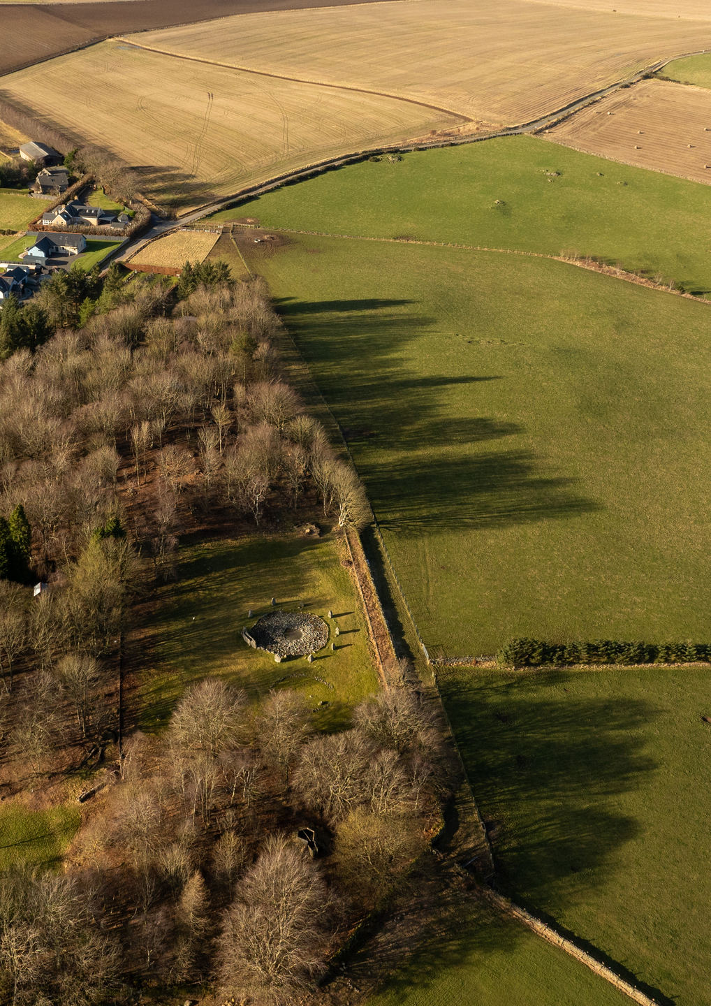 A field divided in the centre. On one side, there are many trees, with a grass section in the centre where you can see a circle of stones.