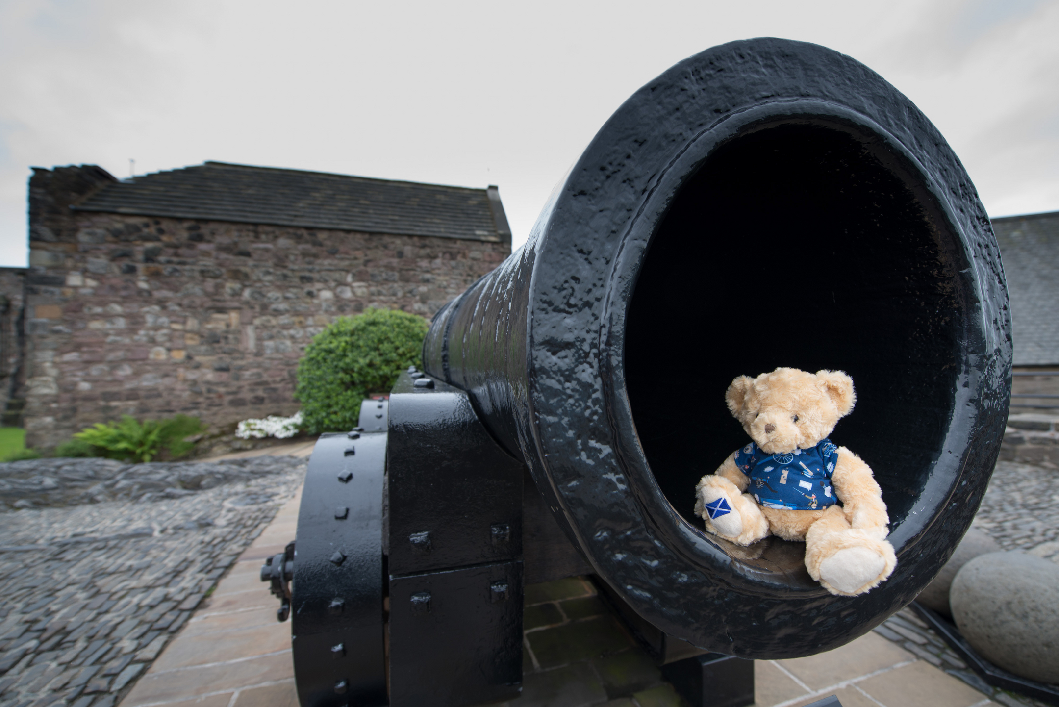 Soft toy teddy bear wearing a blue outfit, sitting inside the barrel of a large historic cannon.