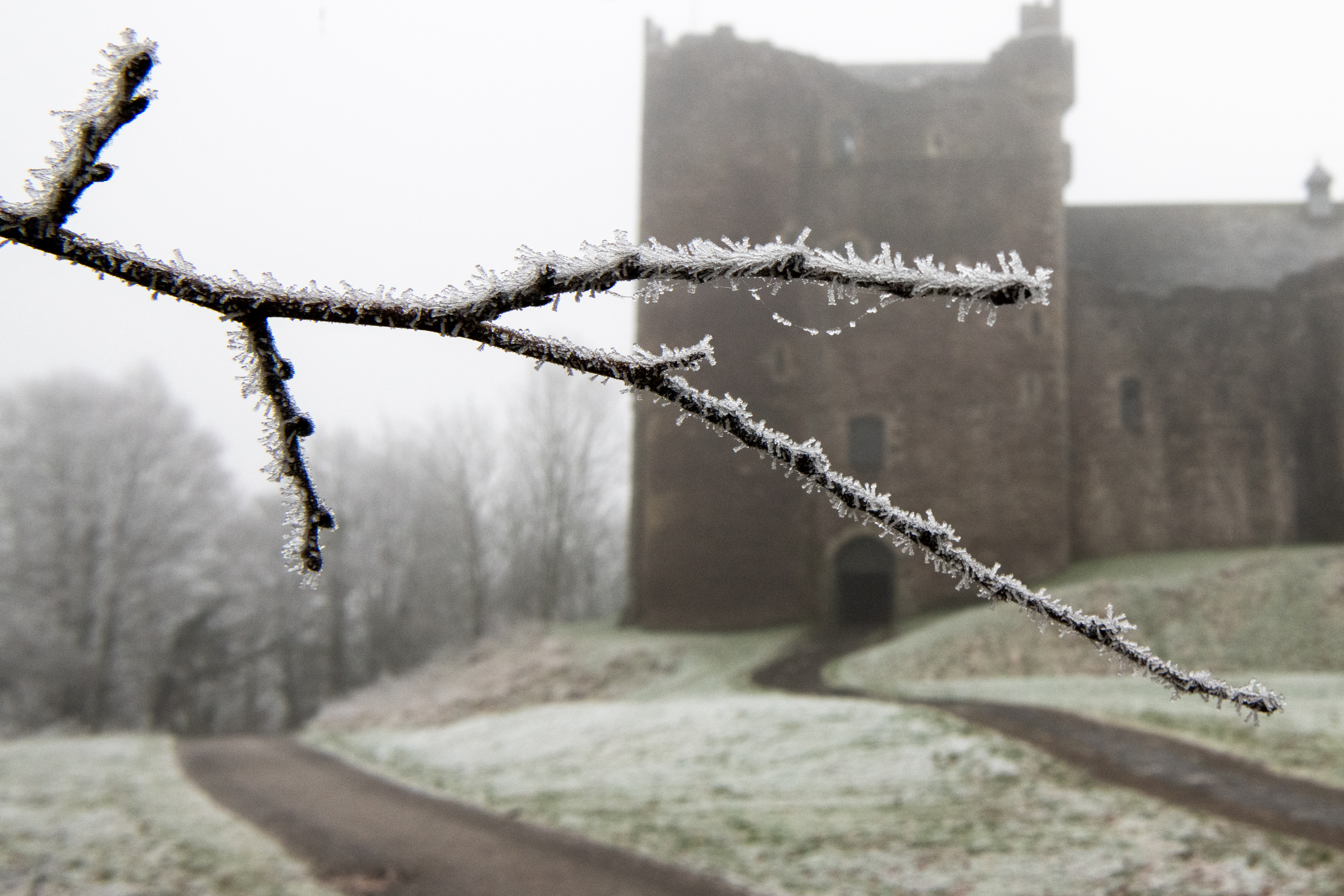 Frost-covered tree branch in the foreground with Doune Castle visible in the misty background.