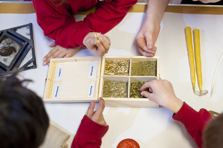 Close up of some of the Abbey Life handling box items (seeds in a box, candles) as children's hands pick them up to investigate.