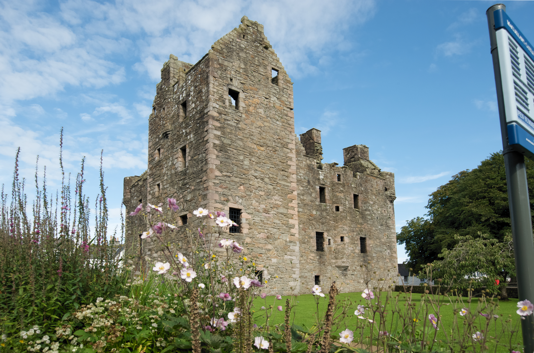 The castle seen behind a bed of tall wildflowers, with a bright sky and leafy trees adding colour to the scene.
