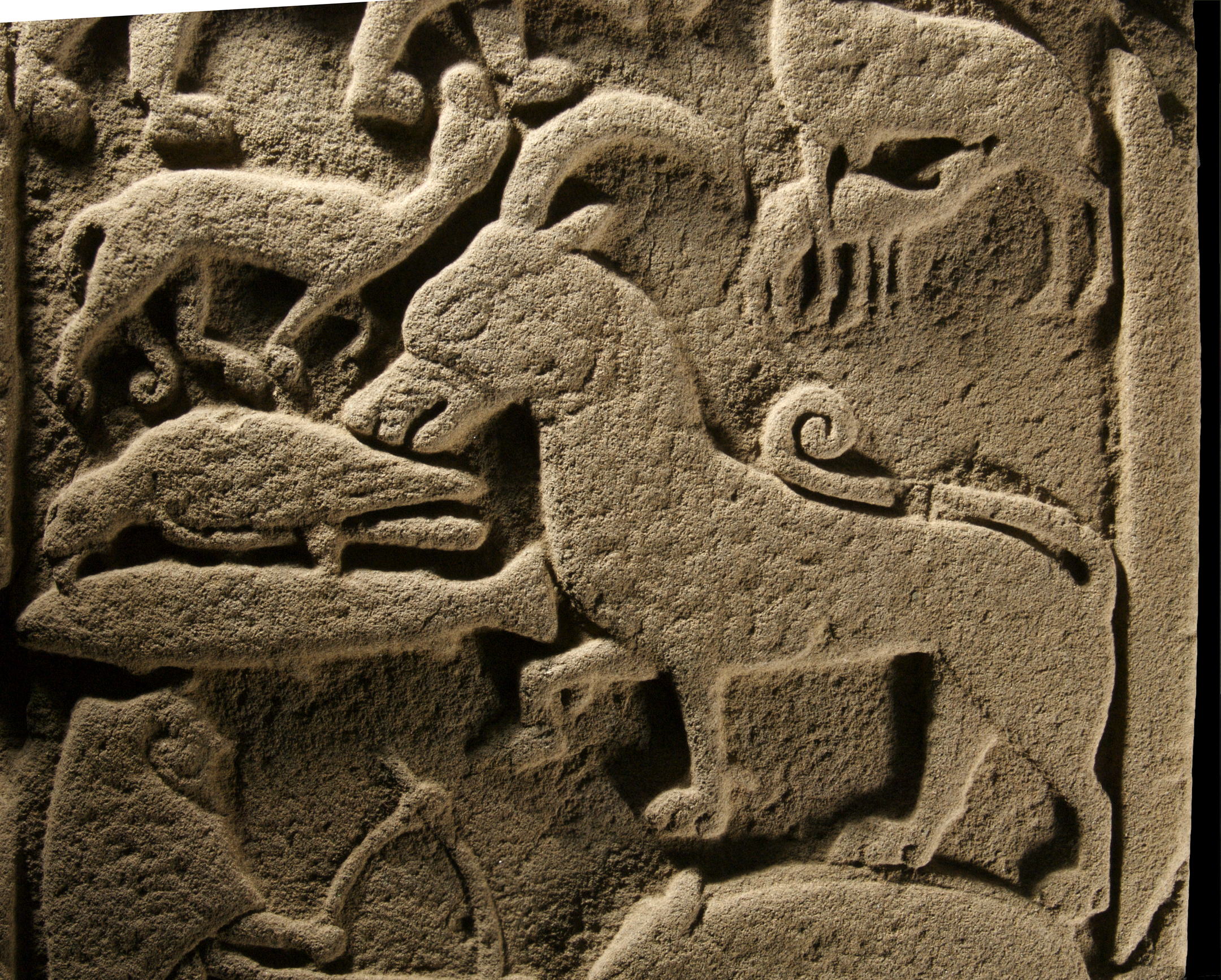 Close-up of carved animal figures on the Drosten Pictish symbol stone, including a bird, quadrupeds, and stylised creatures, all highlighted by dramatic side lighting.