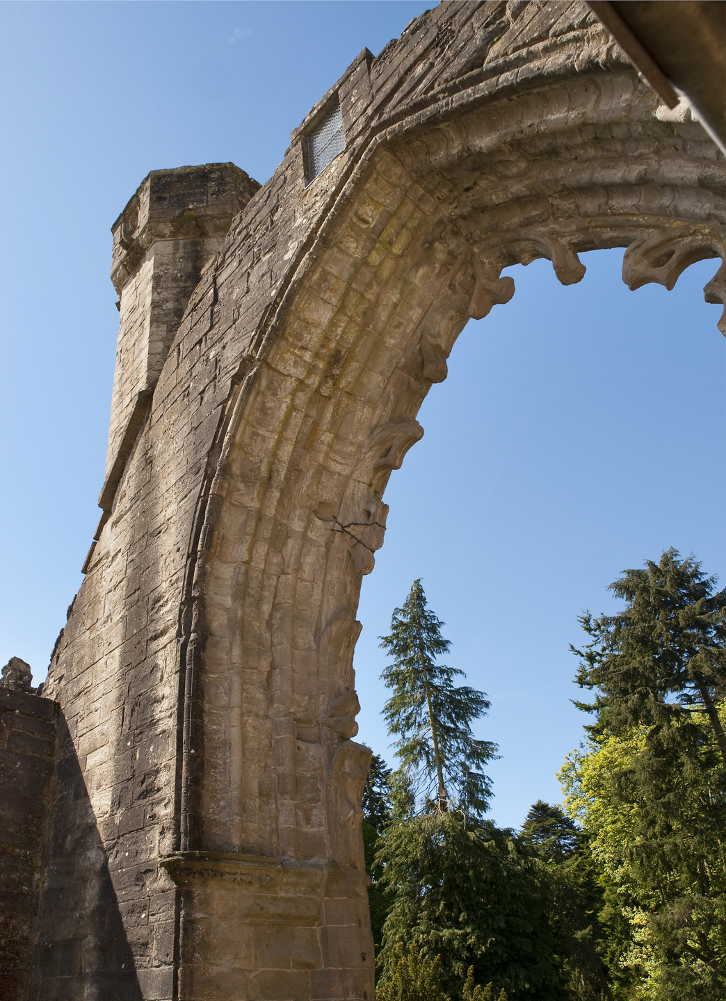 stone arch from a ruined historic building rises into a clear blue sky. The arch is heavily worn but still detailed, with grooves and carvings visible along its curve. Mature evergreen trees stand behind it, contrasting the pale stone with deep green foliage.