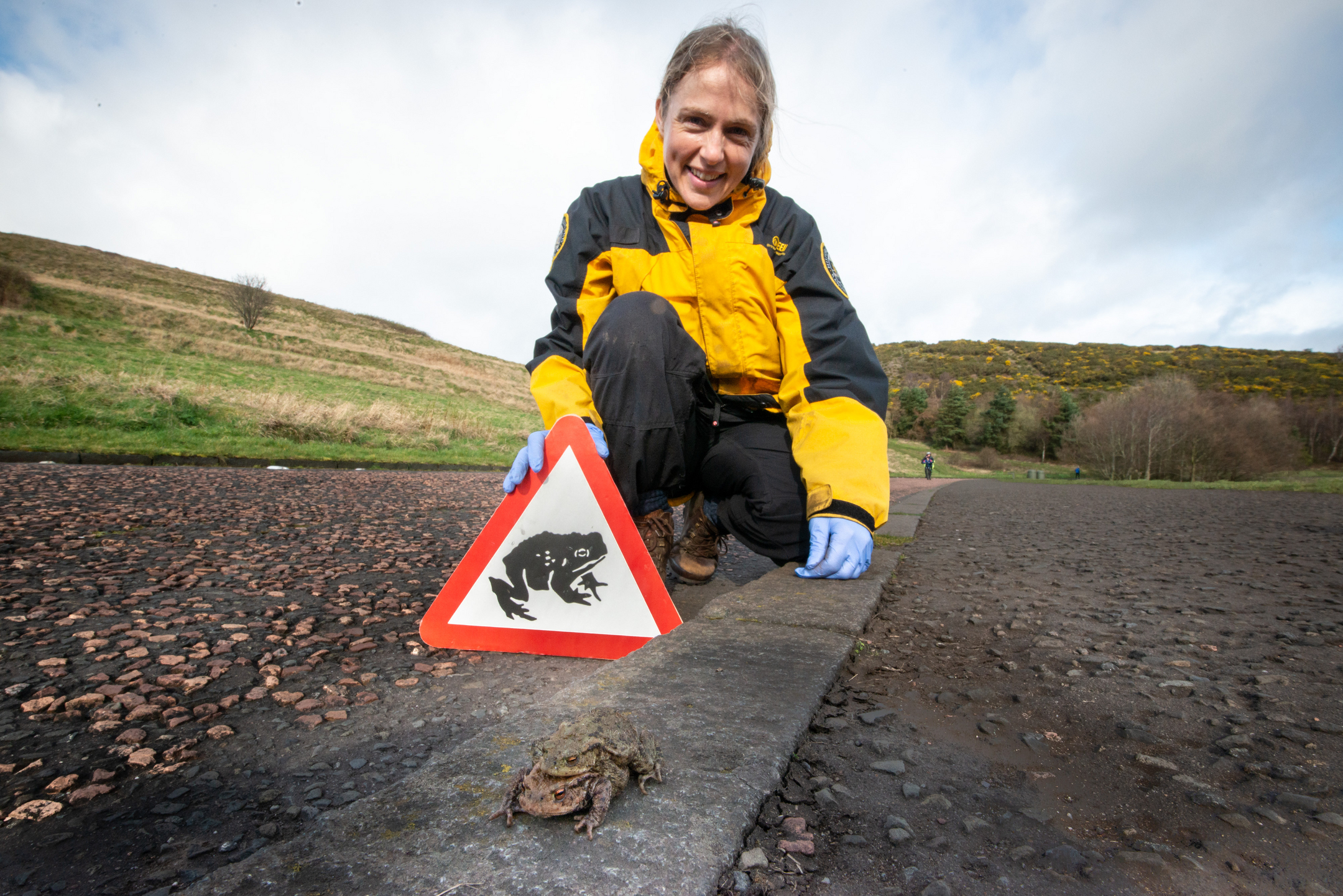 Woman in outdoor wear crouching on the ground. She is holding a triangular road sign with an image of a toad on it and two toads are on the pavement near the sign.