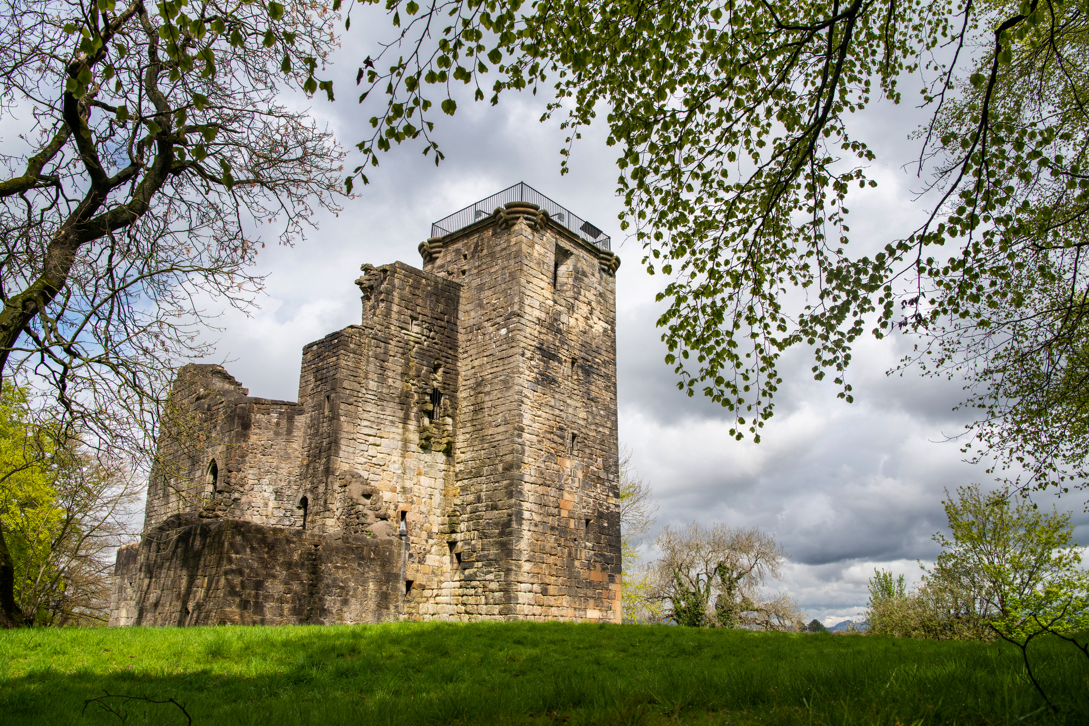 landscape view of Crookston Castle framed by the branches of a tree.