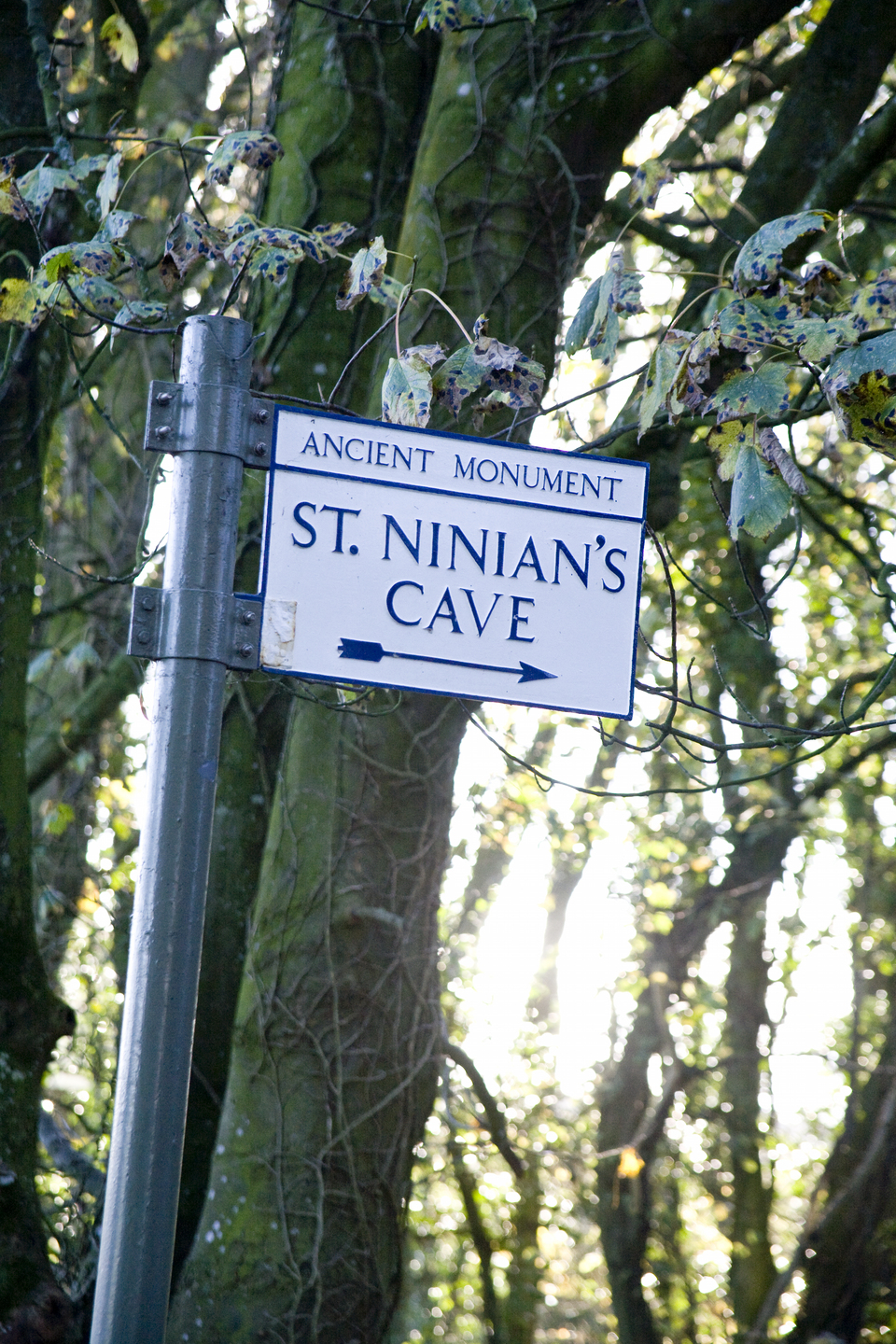 A sign which reads 'ANCIENT MONUMENT', 'ST. NINIAN'S CAVE' with an arrow underneath. There are trees in the background, with sun shining through.