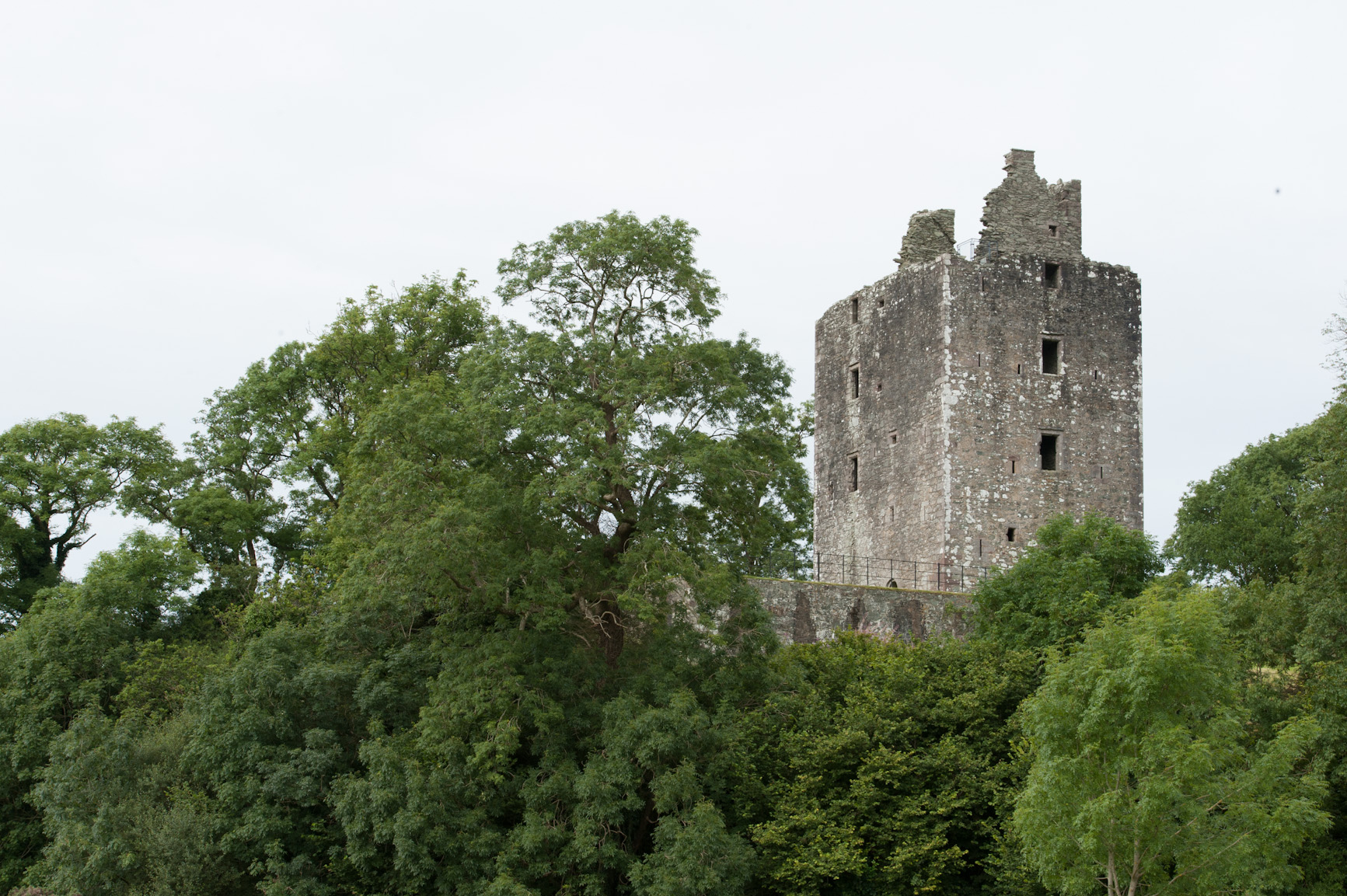 Ruined castle tower seen behind green trees under a grey sky.